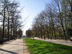 Parc de Bruxelles