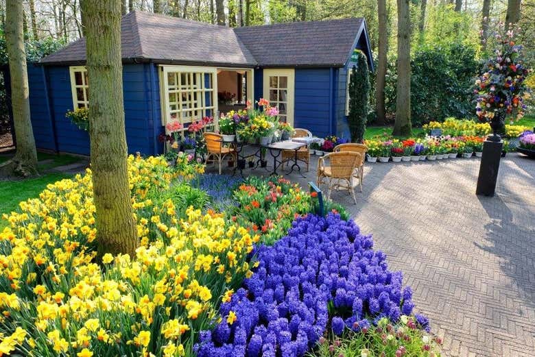 Les célèbres tulipes de Keukenhof